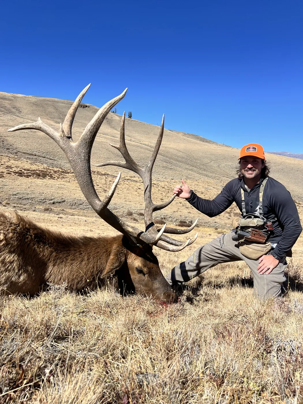 Ian Miner kneeling behind a mature bull elk he harvested in the high country